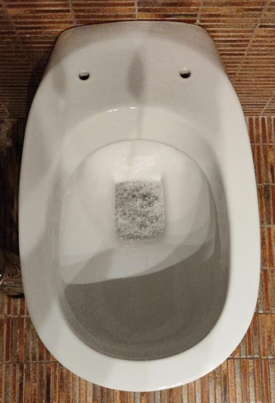 POZZI GINORI WC FORMA OVALE PG002